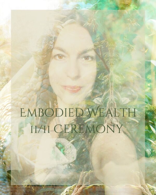 Embodied Wealth 11/11 Ceremony